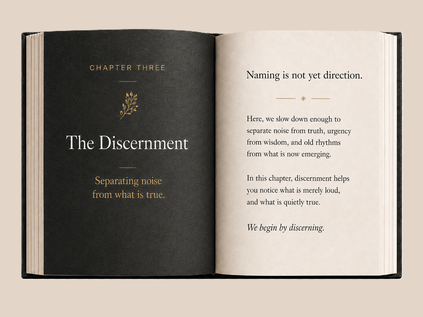 The Discernment Book