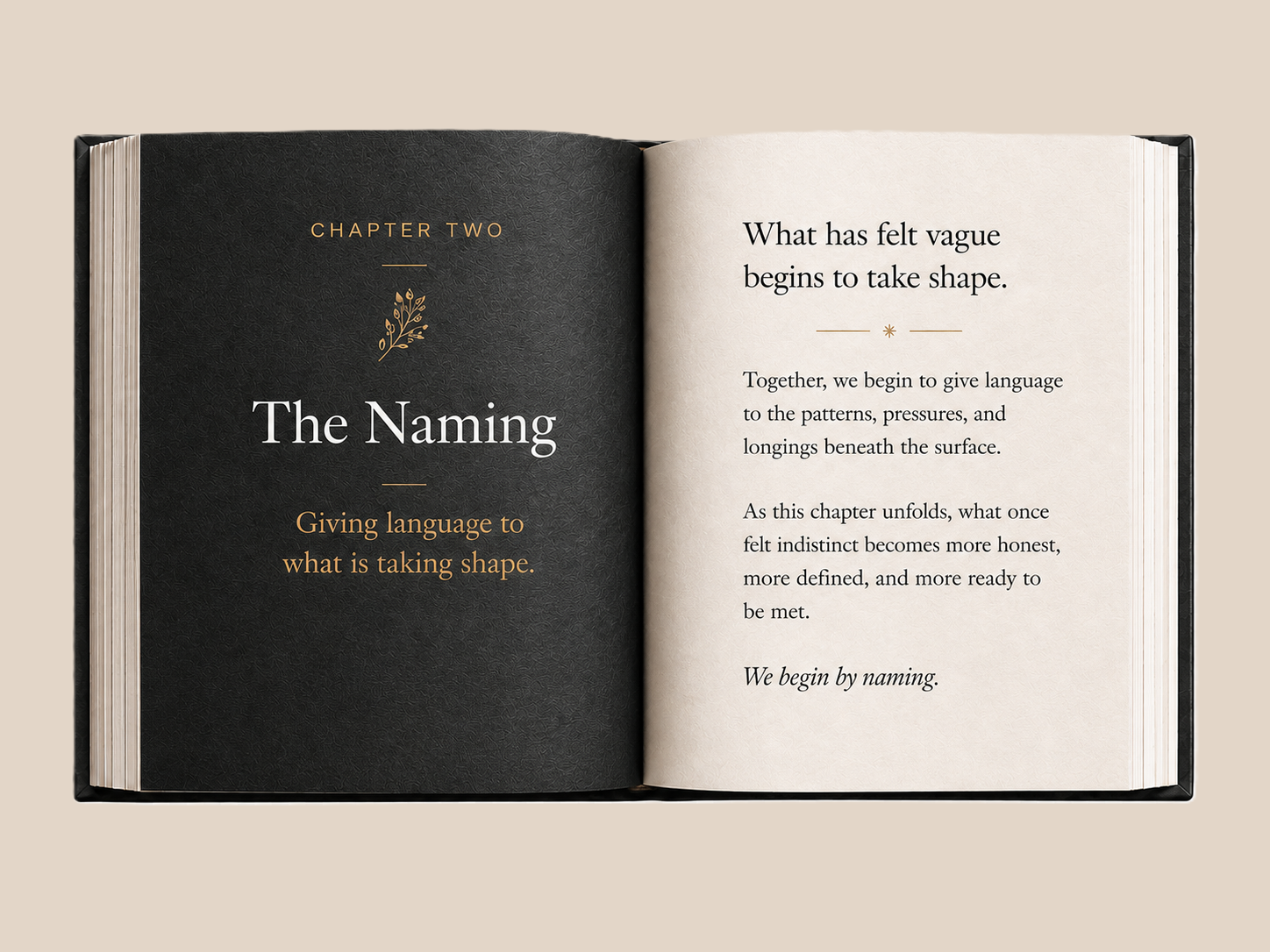 The Naming Book